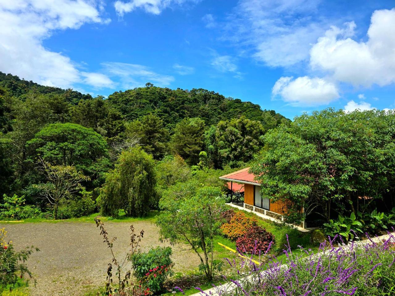 Hotel De Montana Suria San Gerardo de Dota Bilik gambar